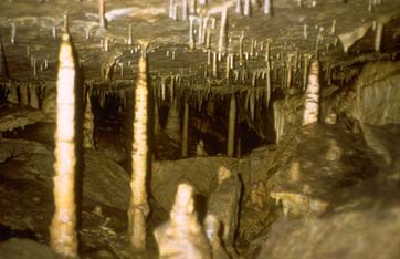 Erdmannshöhle (cave): Märchenreich, BF86; fairyland, BF86
