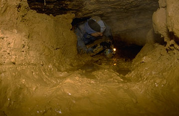 Erdmannshöhle (cave): Konferenzsaal, Erdferkelschluf; conferencing hall, muddy crawlway