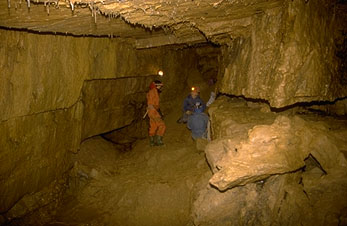 Erdmannshöhle (cave): Konferenzsaal; conferencing hall