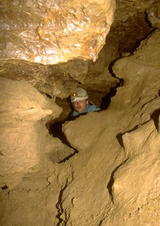 Erdmannshöhle (cave): Troja