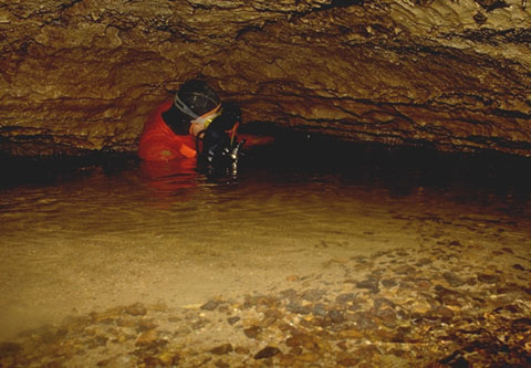 Erdmannshöhle (cave): Unterer Siphon