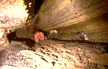 Erdmannshöhle (cave): Unterer Bachgang; lower streamway #1