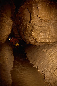 Erdmannshöhle (cave): Westbachgang; western streamway